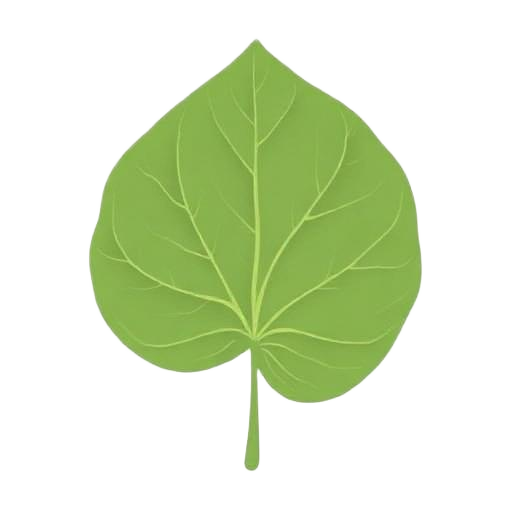 Mulberry Leaf
